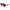 Karl Lagerfeld Multicolor Injected Sunglasses