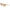 Karl Lagerfeld Brown Haircalf Sunglasses