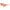 Karl Lagerfeld Orange Injected Sunglasses
