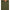 Jack Jones Green Cotton Polo Shirt