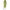 B.Young Green Cotton Dress