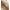 Alviero Martini Prima Classe White Leather Handbag
