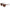 Lacoste Brown Injected Sunglasses