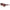 Lacoste Brown Acetate Sunglasses