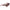 Lacoste Brown Acetate Sunglasses