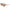 Lacoste Bicolor Injected Sunglasses