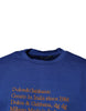 Dolce & Gabbana Blue Graphic Print Cotton Crew Neck T-shirt