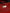Dolce & Gabbana Red Nylon Calfskin Hand Shoulder Duffel Bag