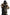 Dolce & Gabbana Brown Fox Tail Fur Shawl Neck Wrap Cover Collar Scarf