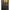 Nudie Jeans Black Cotton Men Jeans