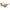 LGR Bicolor Acetate Sunglasses