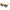 Lozza Brown Acetate Sunglasses