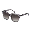 Lozza Gray Acetate Sunglasses