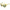 Porsche Yellow Acetate Sunglasses