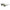 Belstaff Green Haircalf Sunglasses