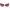 Just Cavalli Red Plastic Sunglasses