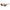 Polaroid Brown Plastic Sunglasses