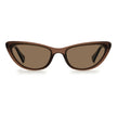 Polaroid Brown Plastic Sunglasses
