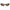 Polaroid Brown Plastic Sunglasses