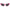 Polaroid Multicolor Plastic Sunglasses
