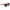 Lanvin Brown Acetate Sunglasses