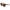 Lanvin Brown Acetate Sunglasses