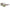 Lanvin Brown Acetate Sunglasses