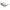 Adidas Bicolor Haircalf Sunglasses