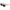 Converse Black Plastic Sunglasses