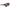 Salvatore Ferragamo Bordeaux Haircalf Sunglasses