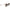 Salvatore Ferragamo Gold Metal Sunglasses