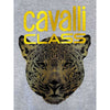 Cavalli Class Gray Polyester Women Sweater