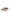 Dolce & Gabbana White Leather Logo Portofino Sneakers Shoes