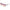 Lozza Purple Injected Sunglasses