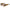 Missoni Multicolor Haircalf Sunglasses