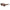 Kate Spade Brown Acetate Sunglasses