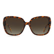 Kate Spade Brown Acetate Sunglasses