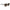 Kate Spade Brown Acetate Sunglasses