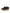 Dolce & Gabbana Black White Daymaster Low Top Sneakers Shoes
