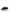 Dolce & Gabbana Black White Daymaster Low Top Sneakers Shoes