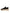 Dolce & Gabbana Black White Daymaster Low Top Sneakers Shoes