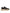 Dolce & Gabbana Black White Daymaster Low Top Sneakers Shoes