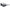 Nike Black Injected Sunglasses