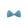Dolce & Gabbana Blue Silk Ties & Bowty