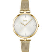 Hugo Boss Gold Stainless Steel Watch