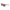 Levi's Brown Resin Sunglasses