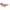 Ferragamo Orange Injected Sunglasses