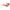 Ferragamo Orange Injected Sunglasses