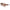 Ferragamo Brown Acetate Sunglasses