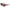 Lacoste Red Injected Sunglasses